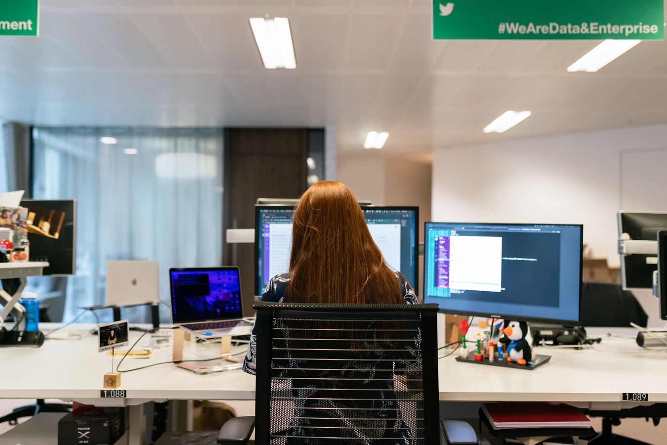 tworzenie stron internetowych lublin